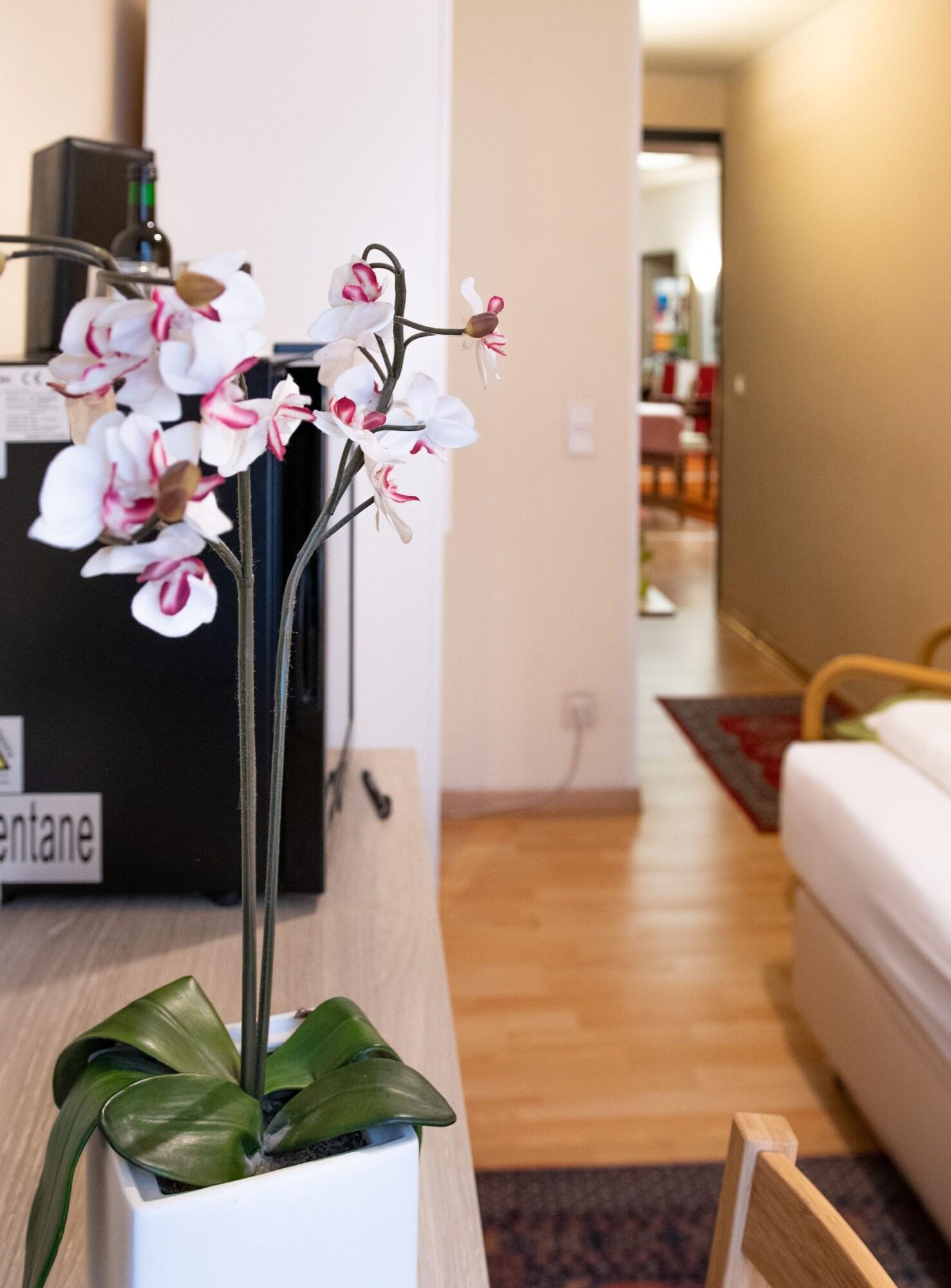 Pension Hotel Mariahilf Vienne Extérieur photo